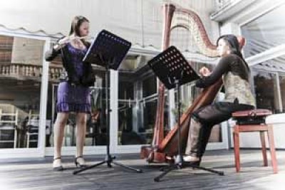 Harp and Flute- Harp and Harp