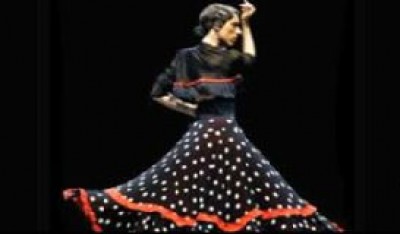 Flamenco Show